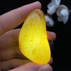 和田玉洒金皮籽料（36.3g）