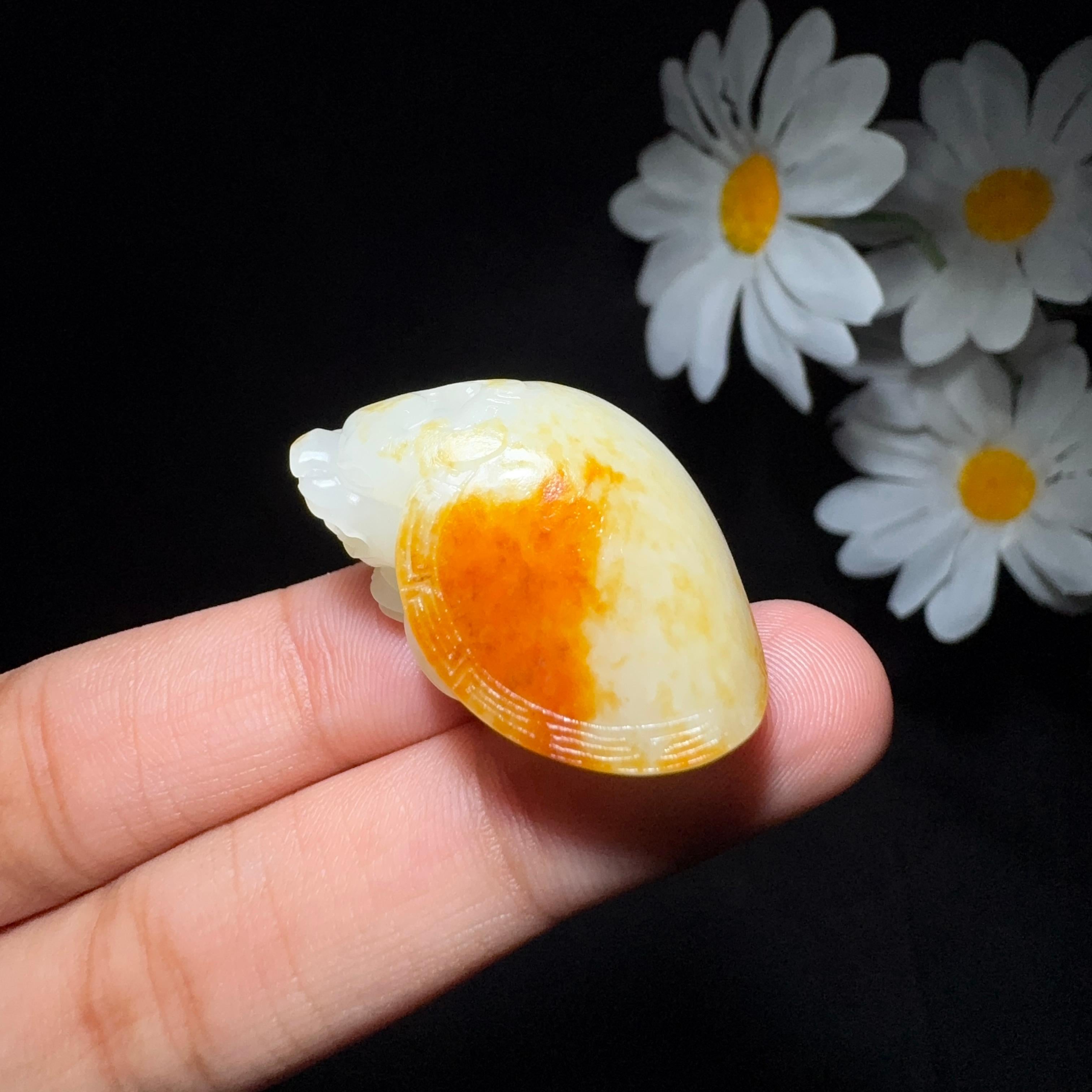 和田玉籽料挂件龙龟（14.5g） – 厚德载玉