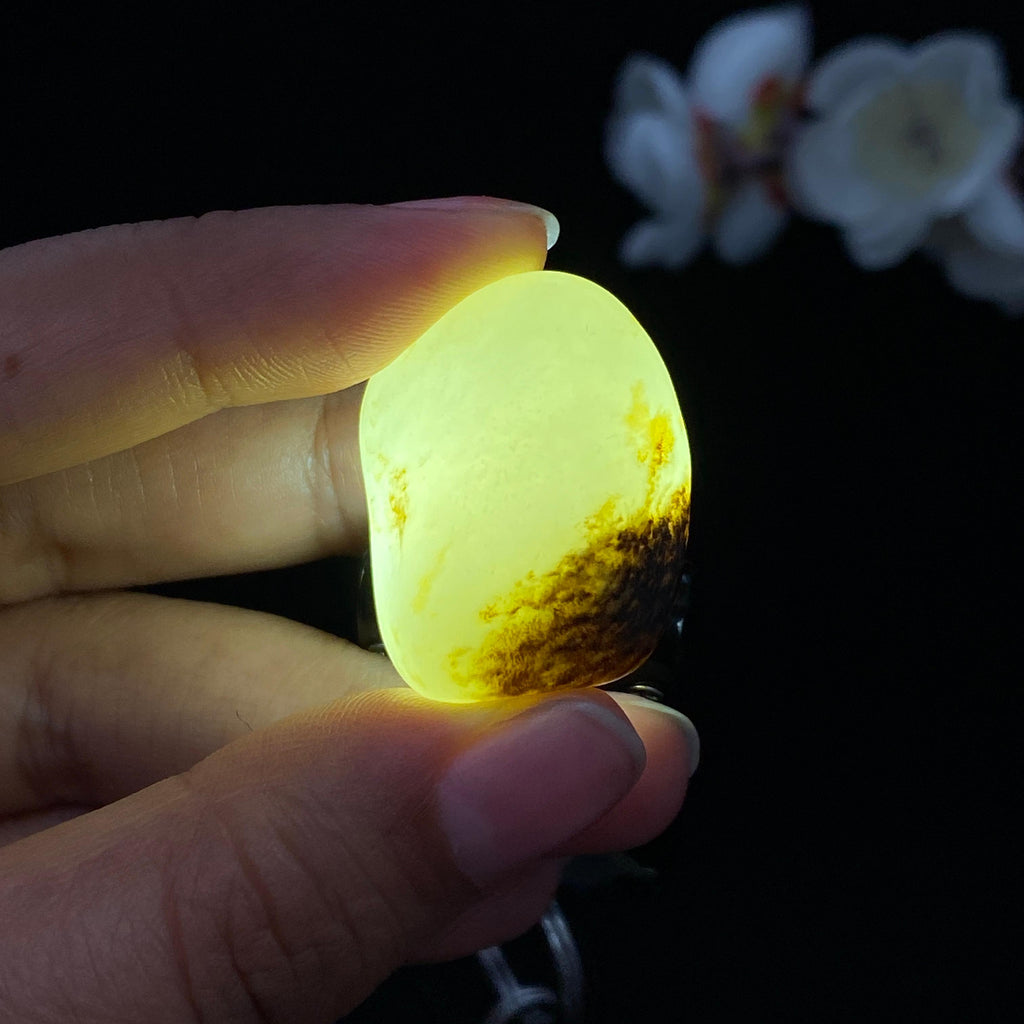 和田玉秋梨黑皮籽料（17g）