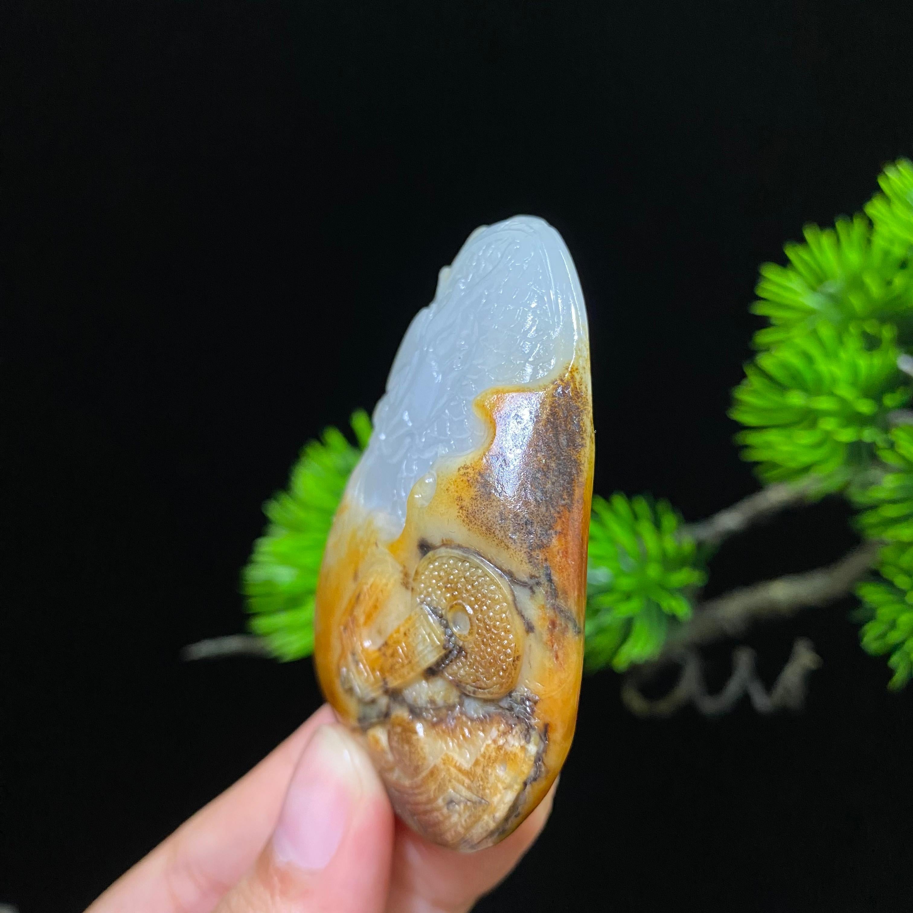 和田玉籽料龙牌（52.3g）