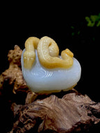 和田玉挂件生肖蛇（51.5g）