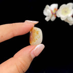【超值推荐】和田玉洒金皮籽料（3g）