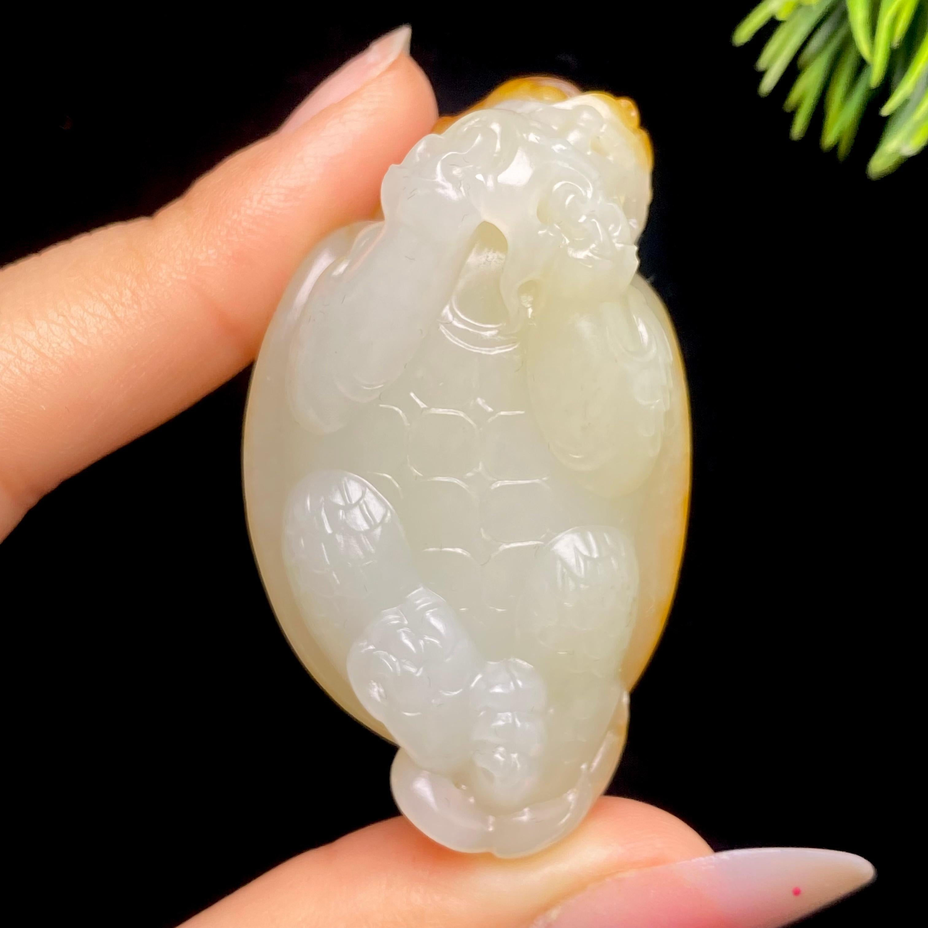 和田玉籽料龙龟（47.3g） – 厚德载玉