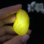 和田玉秋梨皮带翠籽料挂件（21.1g）
