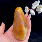 和田玉聚黄皮籽料原石（338.5g）