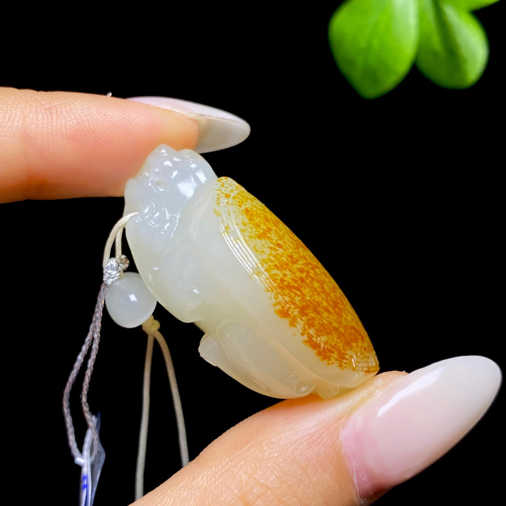 和田玉籽料龙龟MQ2606083010（27.31g）