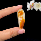 和田玉聚黄皮籽料挂件（24.3g）
