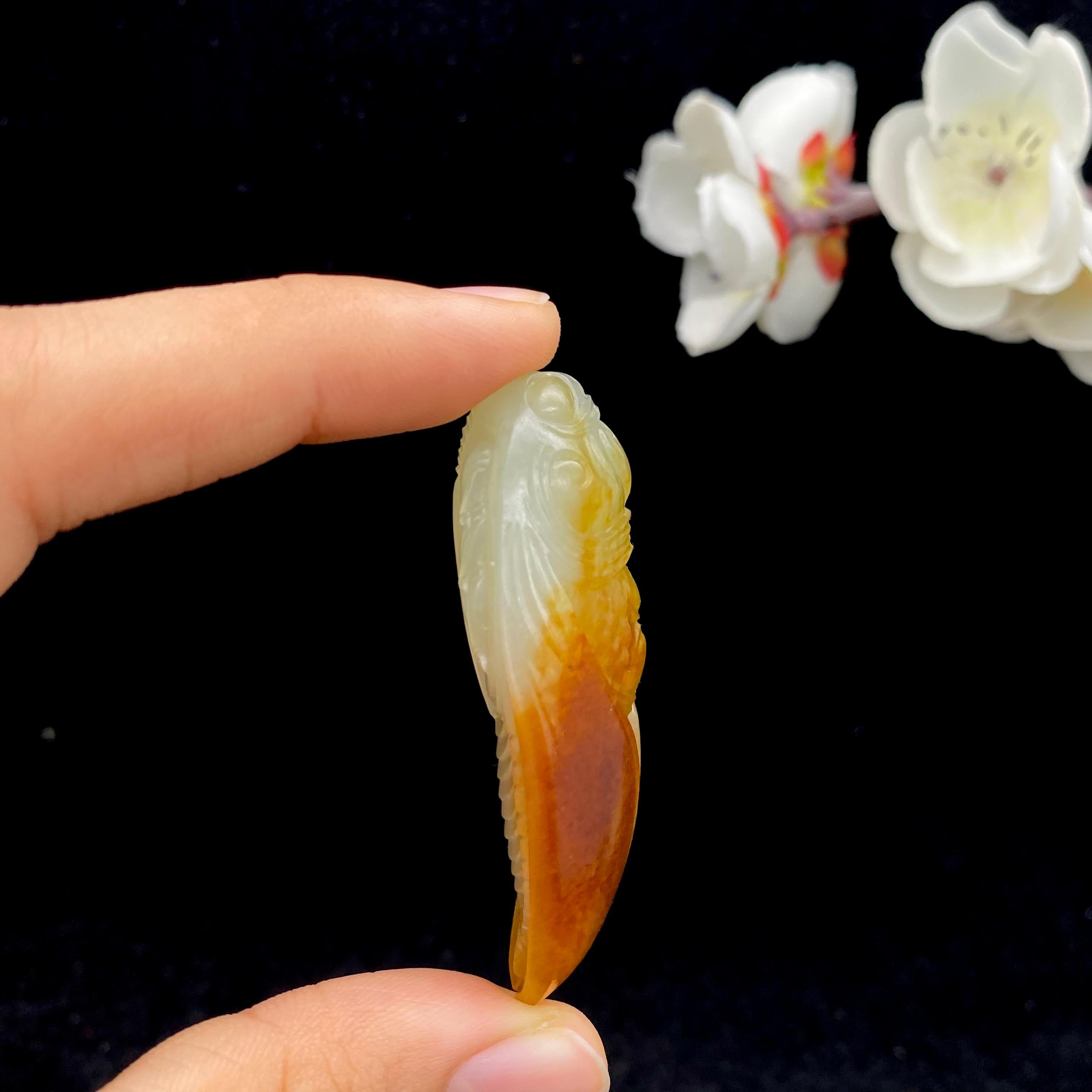 和田玉籽料【一鸣惊人】（31.3g）