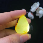和田玉聚黄皮籽料（9.7g）