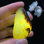 和田玉聚红皮籽料挂件（21.8g）