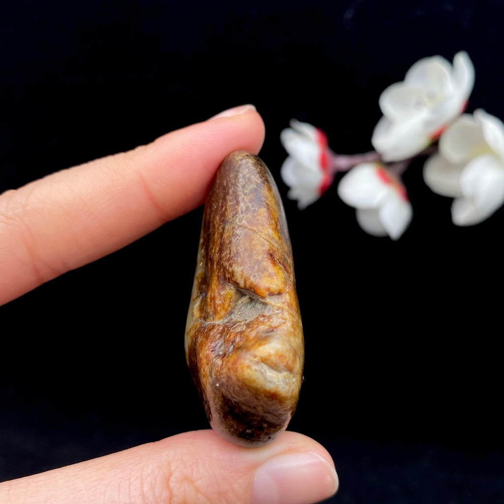 和田玉聚黑皮籽料（46.3g）