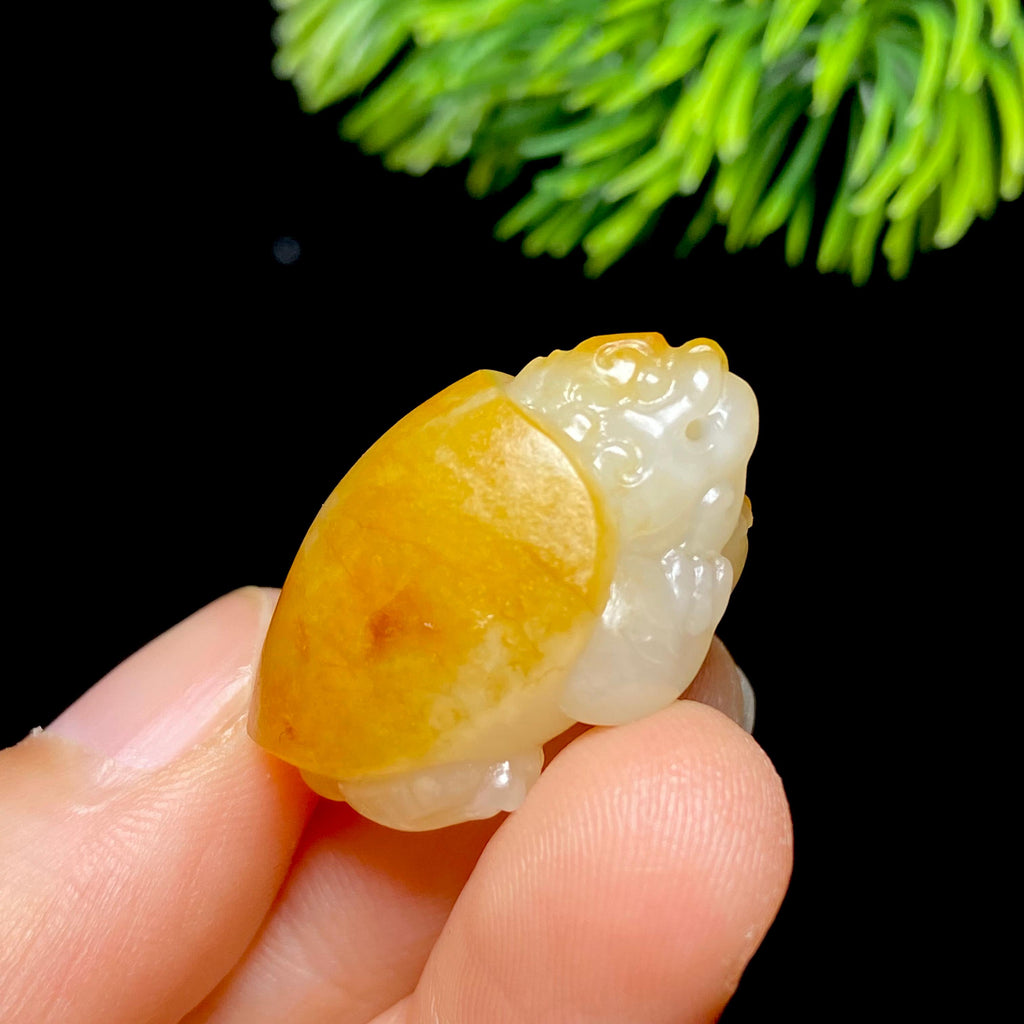 和田玉籽料龙龟（9.3g）