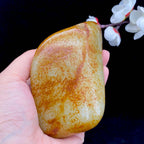 和田玉洒红皮籽料原石（339.4g）