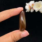 和田玉黄沁皮籽料吊坠籽（16.6g）