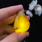 和田玉黄皮籽料（12.1g）