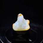 和田玉籽料龙马精神（167.4g）