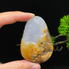 和田玉籽料龙牌（52.3g）