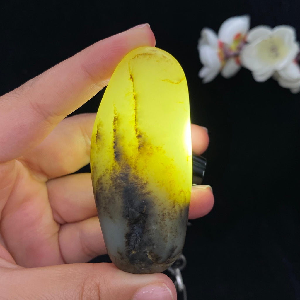 和田玉秋梨皮高青白肉籽料手把件（72.9g）