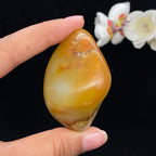 和田玉聚黄皮籽料手把件（102.9g）