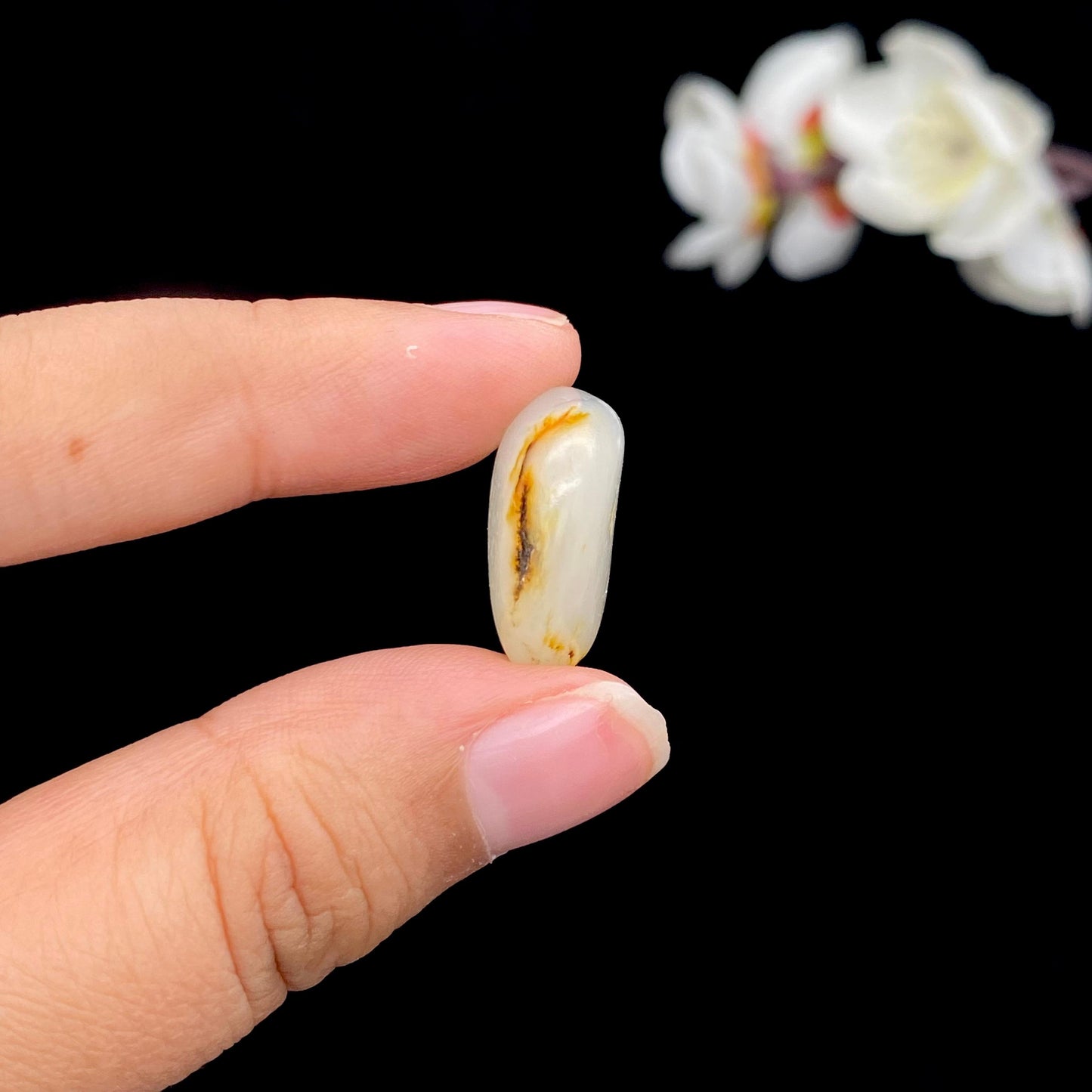 和田玉黄皮籽料戒面籽（4.4g）