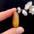 和田玉聚黄皮籽料（15.2g）