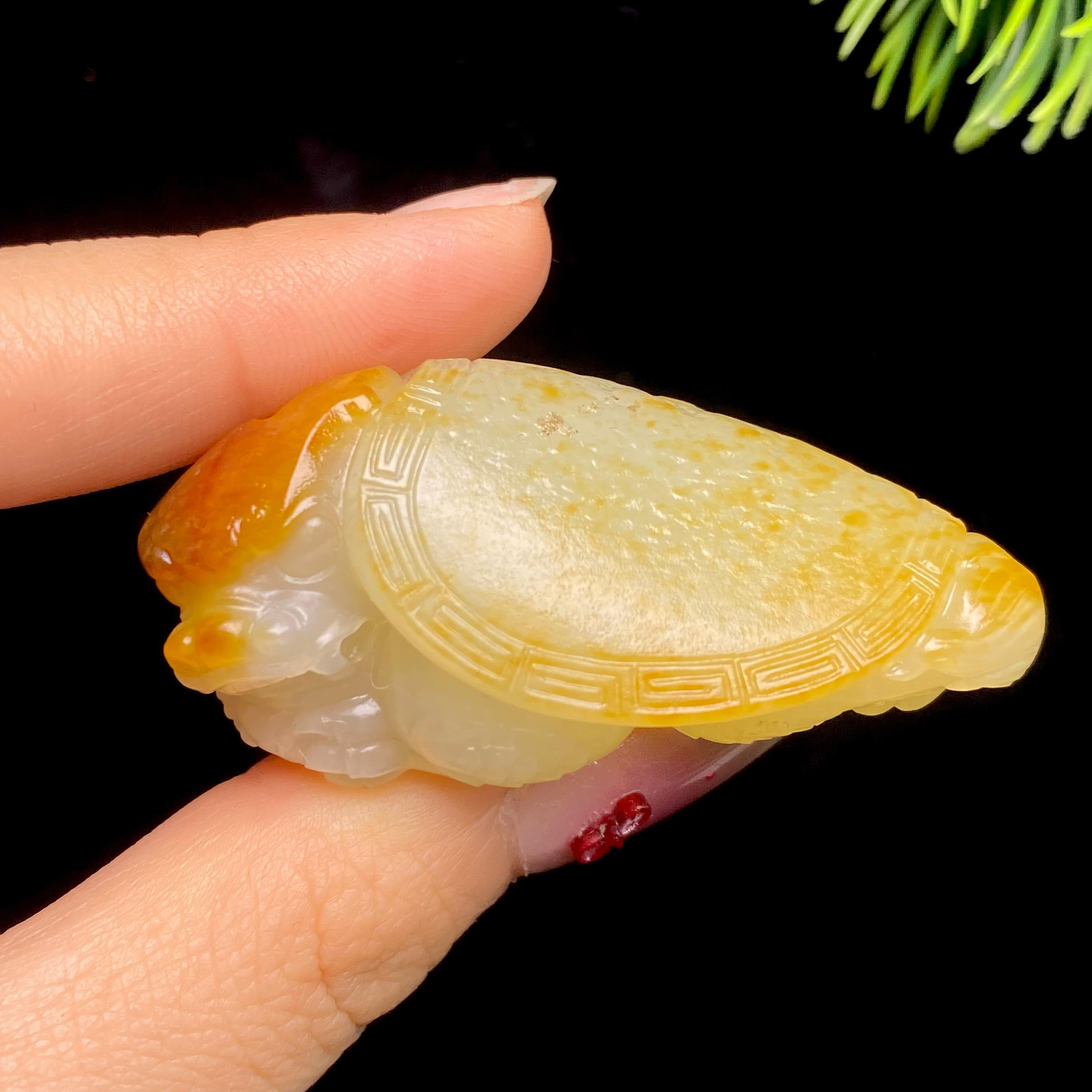 和田玉籽料龙龟（47.3g）