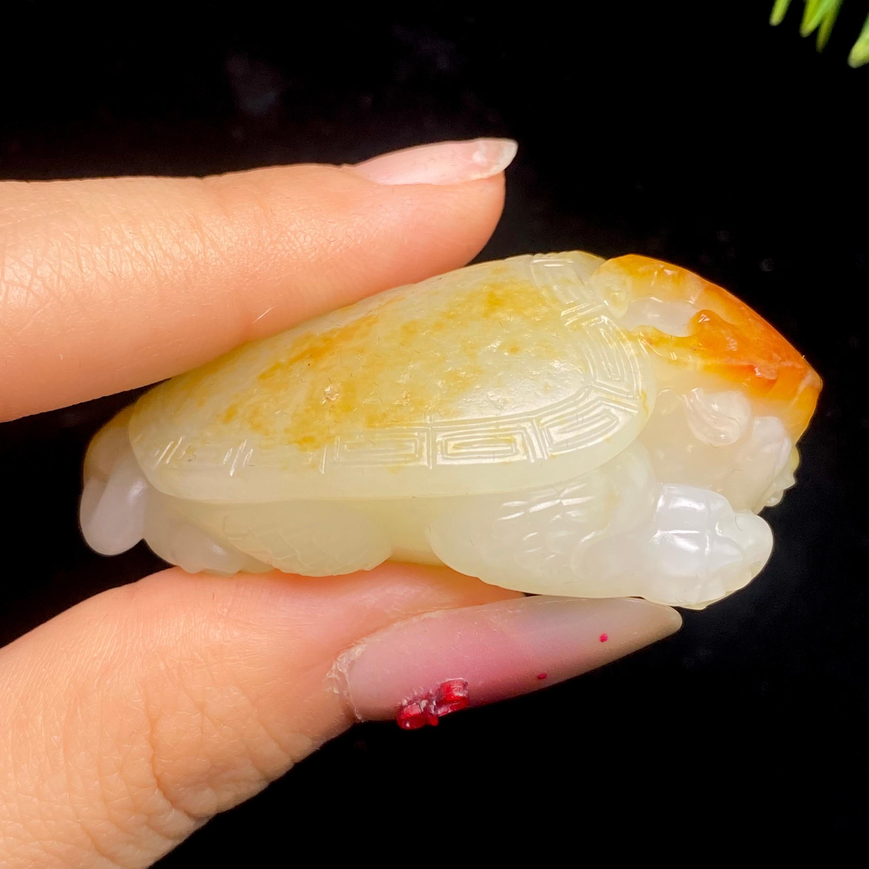 和田玉籽料龙龟（47.3g）