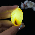 和田玉洒金皮籽料挂件（26.5g）