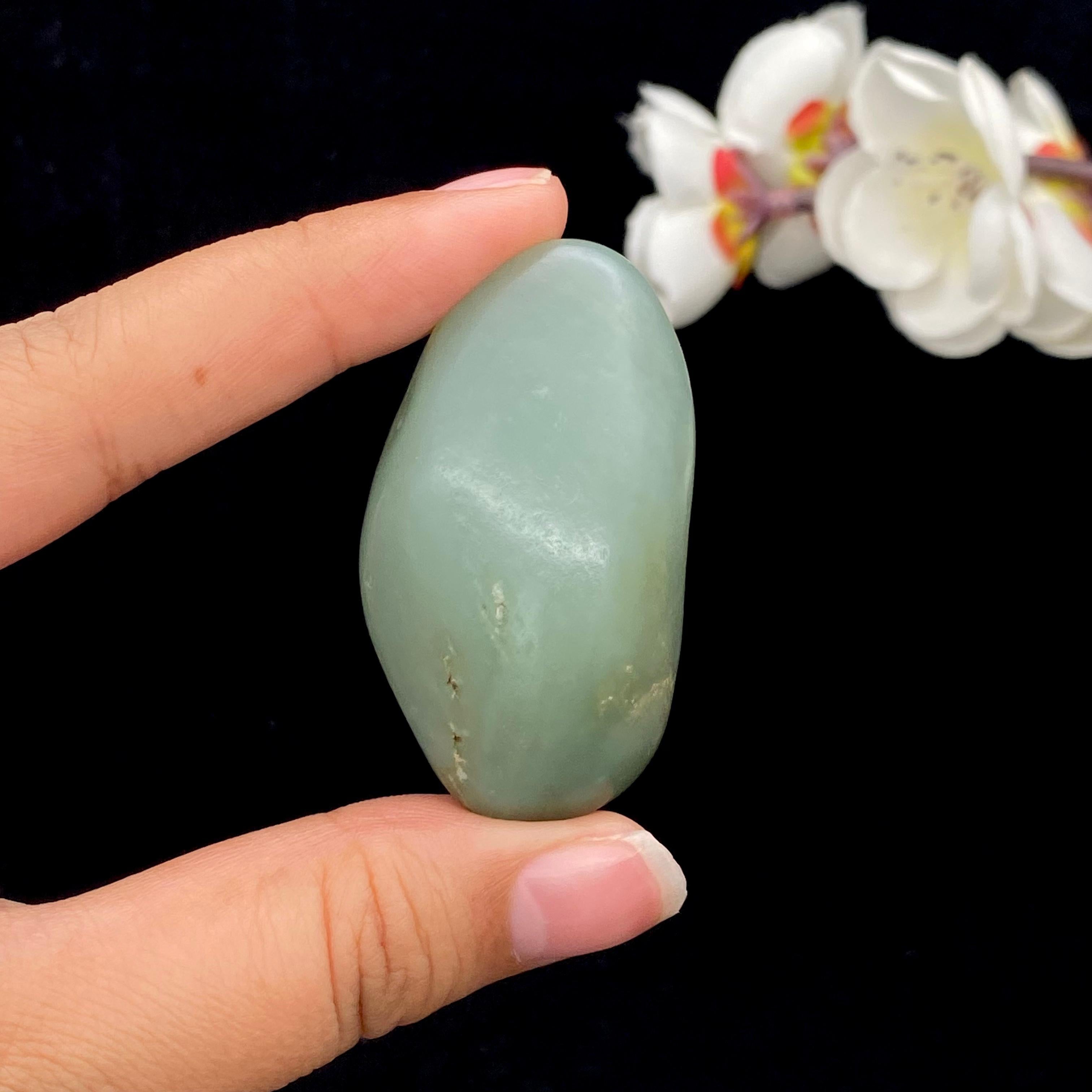 和田玉籽料龙龟（20.7g） – 厚德载玉