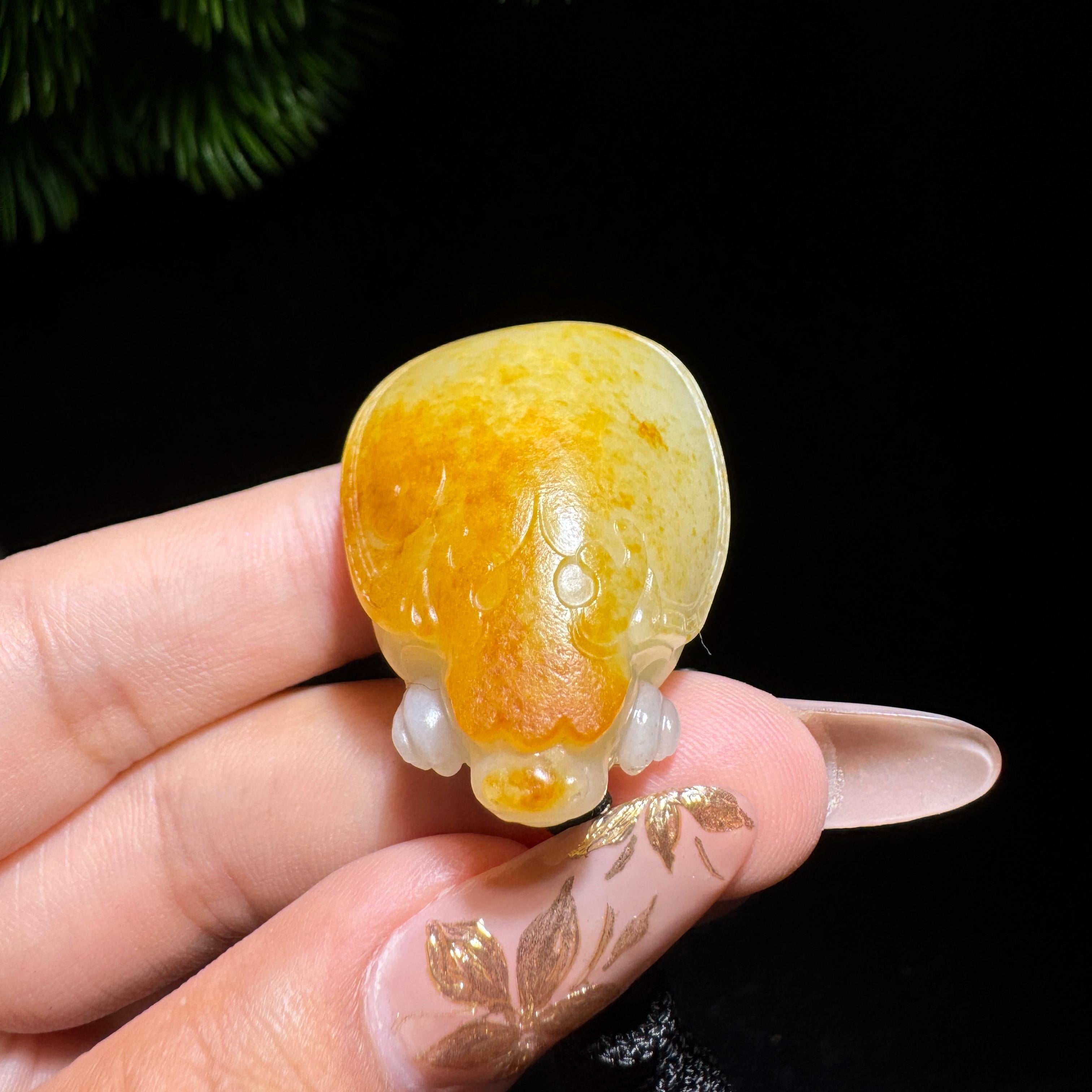 和田玉籽料满皮龙龟（25.5g） – 厚德载玉