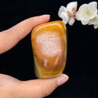 和田玉聚黄皮籽料手把件（262.3g）