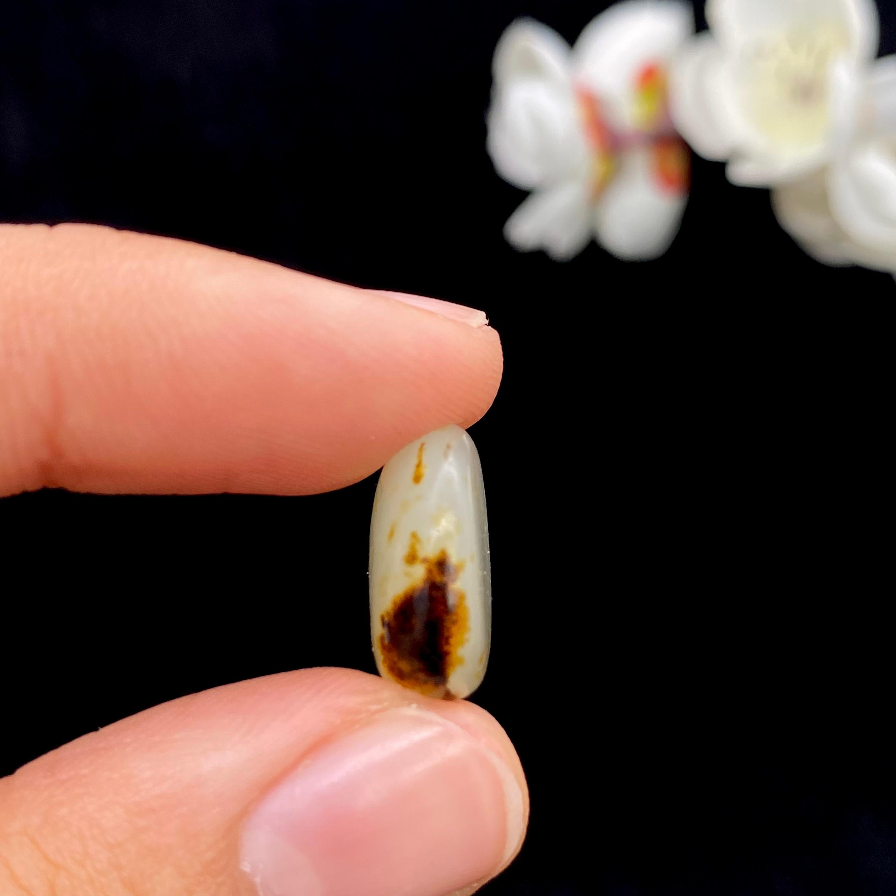 【超值推荐】和田玉黄皮籽料原石（2.7g）