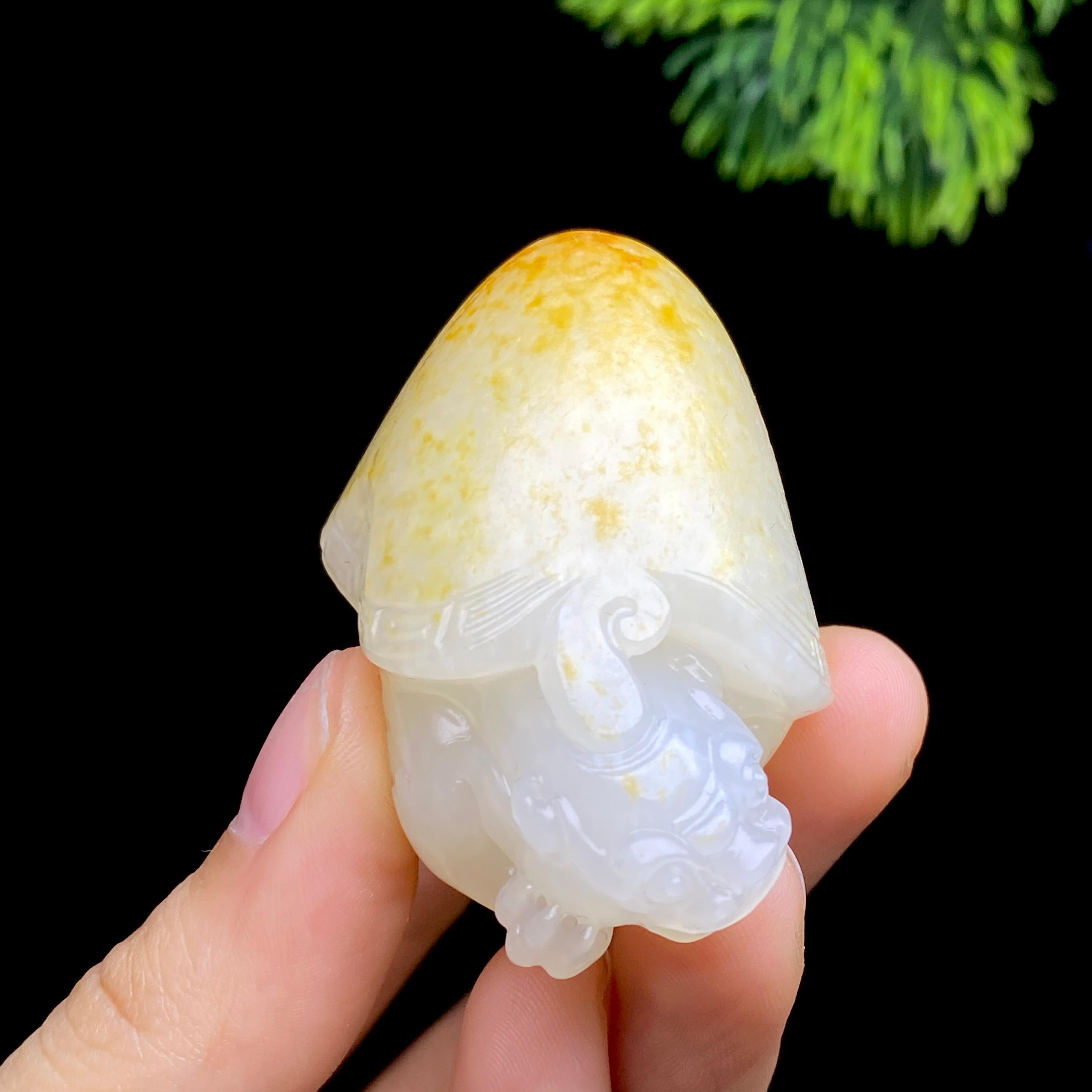 和田玉籽料龙龟（73.7g）