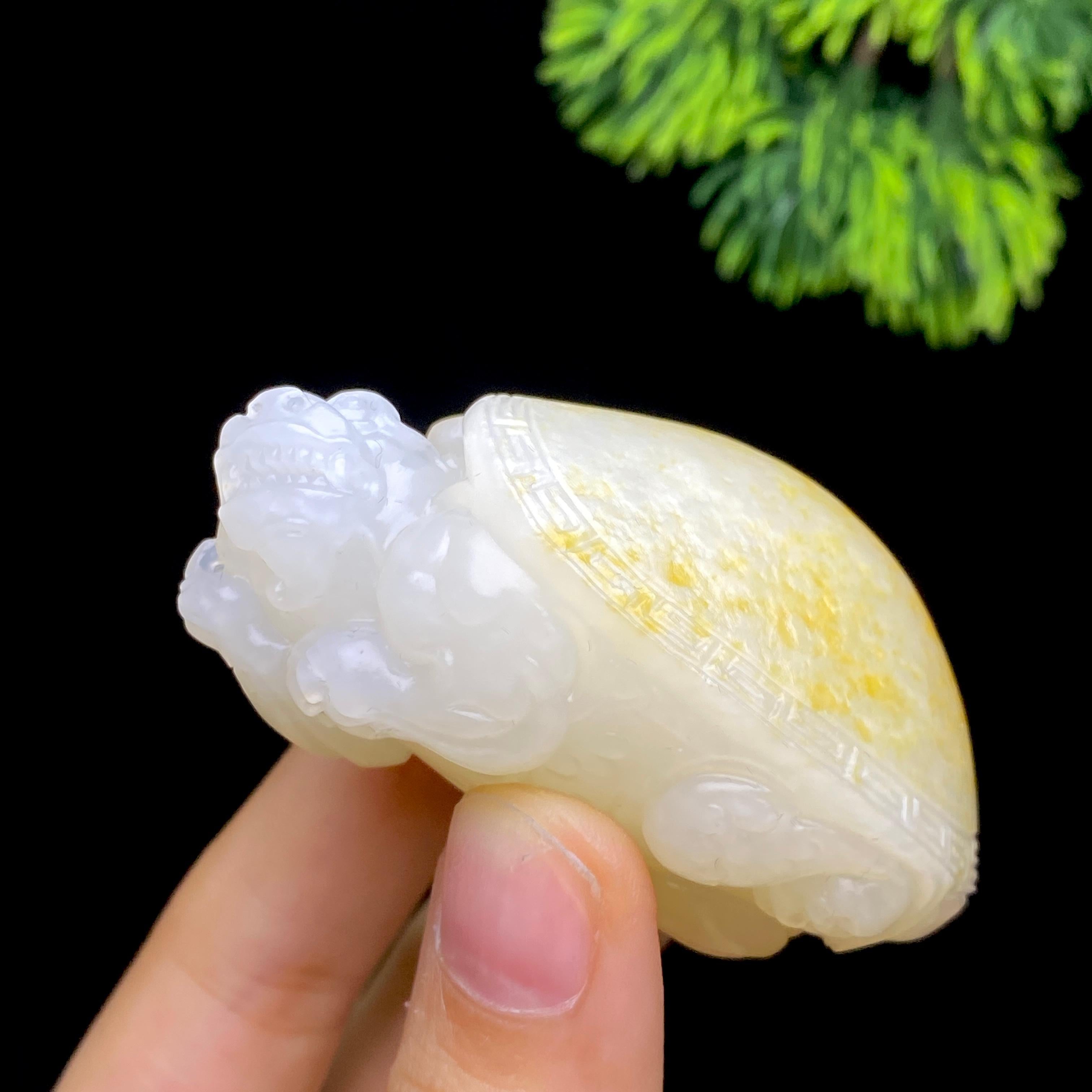 和田玉籽料龙龟（73.7g）