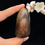 和田玉秋梨皮籽料手把件（190.9g）