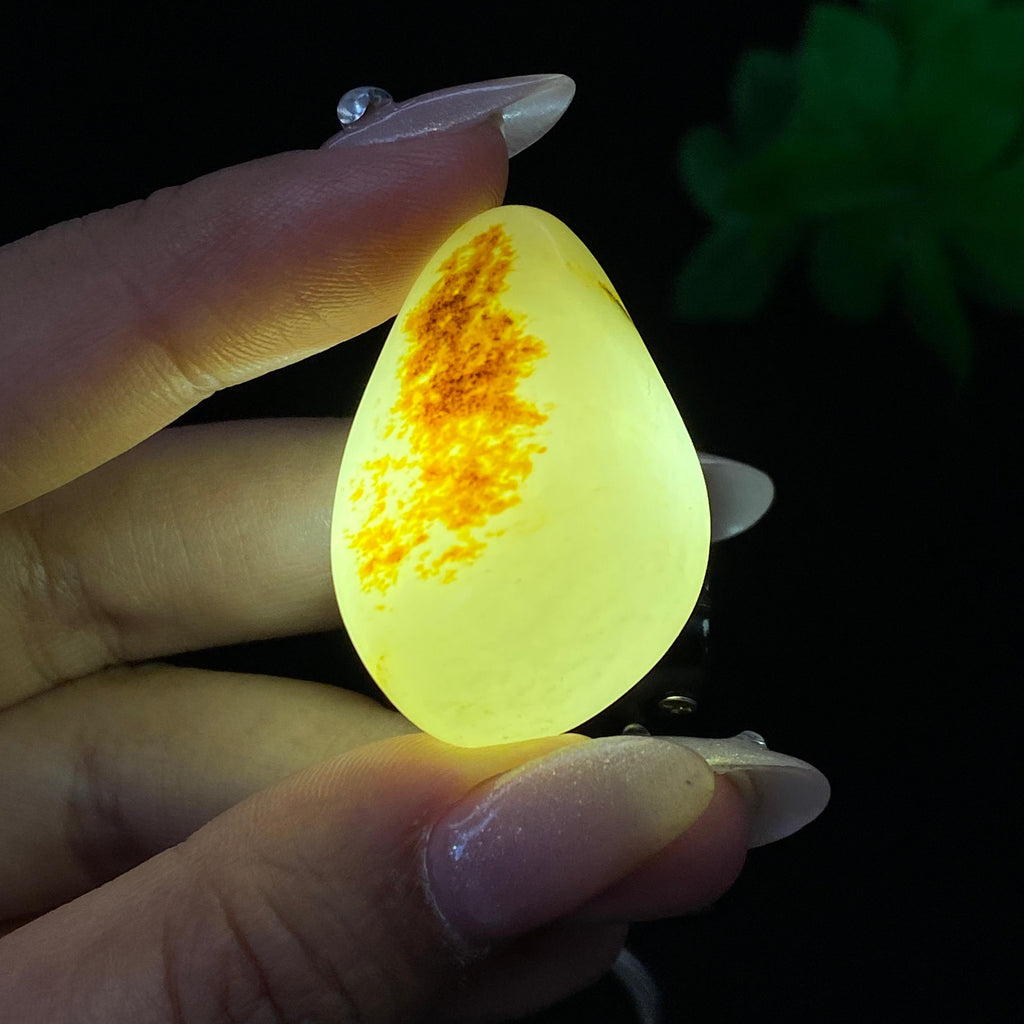 和田玉聚黄皮籽料（22.3g）