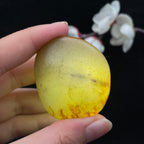 和田玉秋梨皮籽料（56.2g）