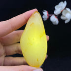 和田玉聚红皮籽料手把件（82.9g）