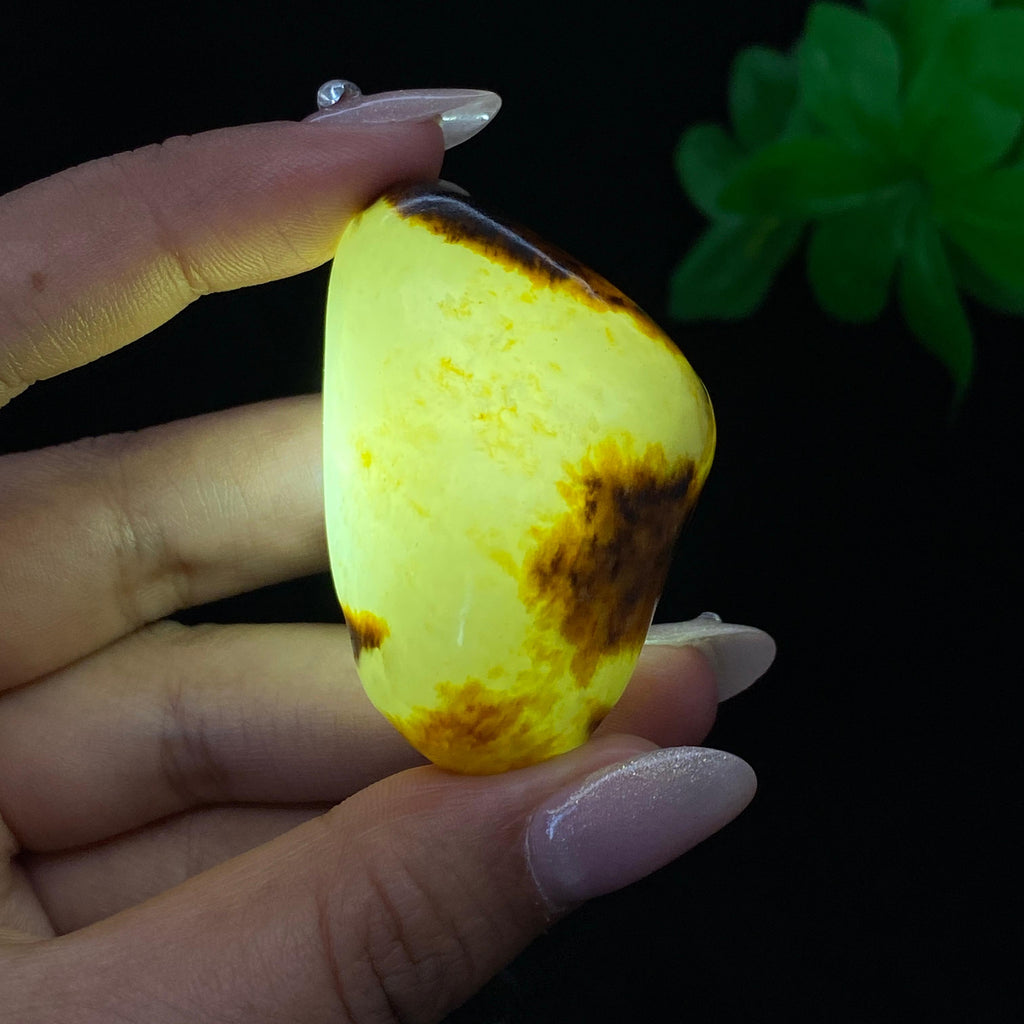 和田玉黑黄皮籽料（55g）