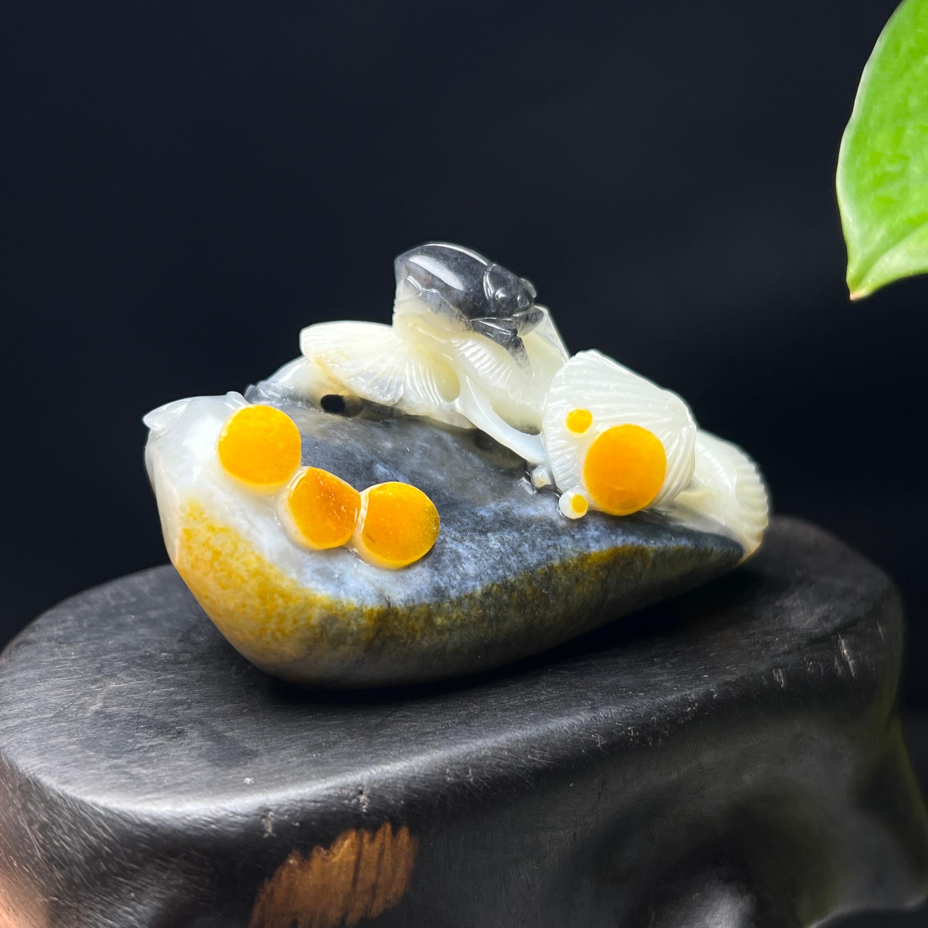 和田玉籽料红皮三色青花富甲天下摆件（89.2g）