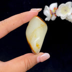 和田玉聚黄皮籽料手把件（68.3g）