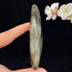 和田玉秋梨皮籽料手把件（108.6g）