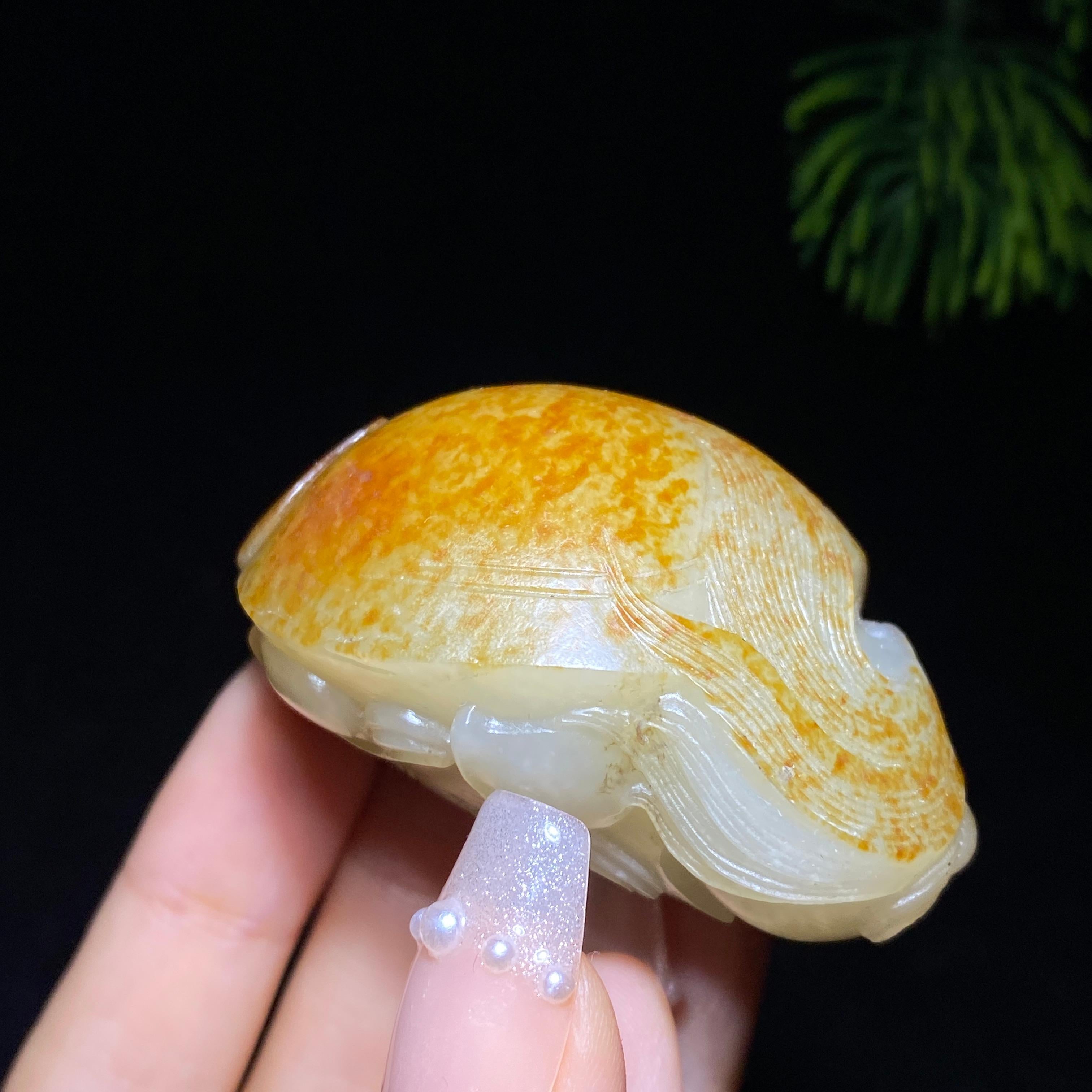 和田玉籽料龙龟（63.6g）