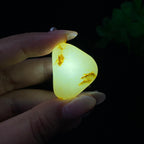和田玉洒金皮籽料（12g）