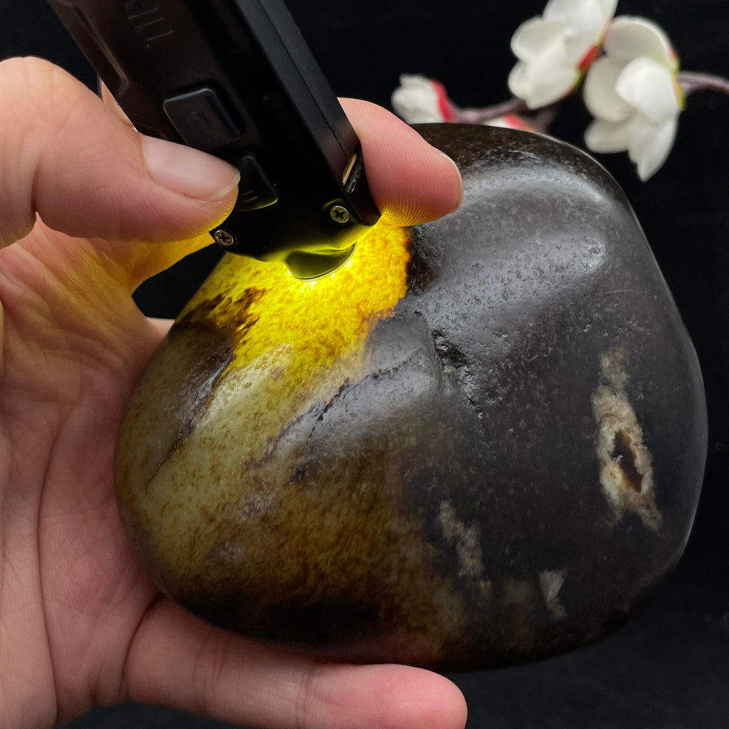 和田玉聚黑皮籽料（509.1g）