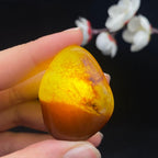 和田玉聚红皮籽料挂件（23.5g）