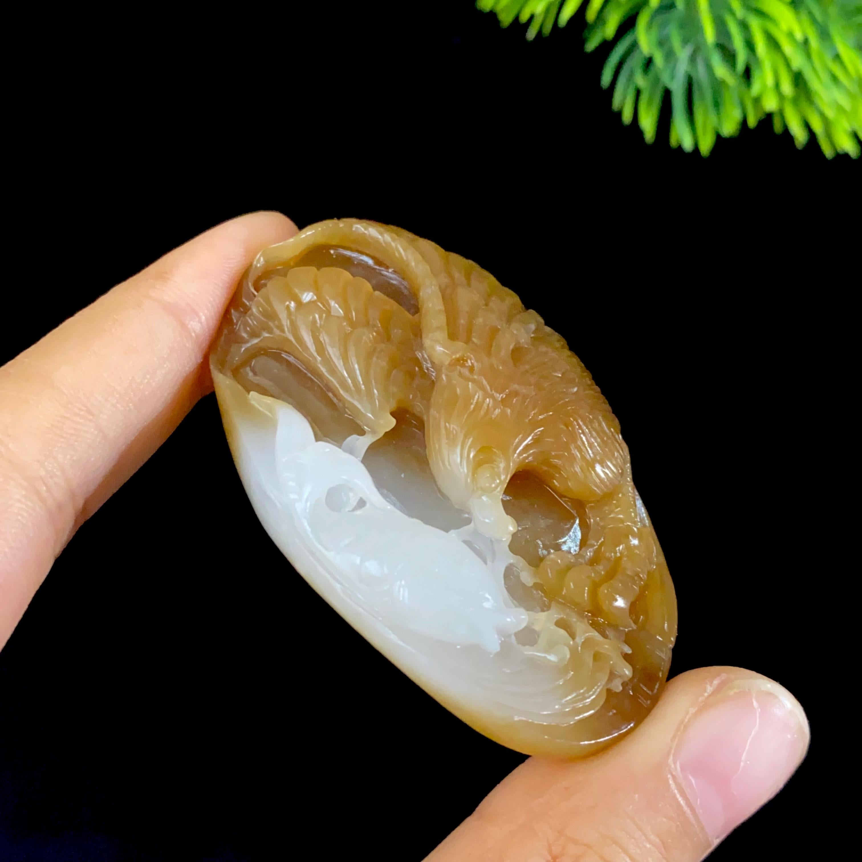 【超值推荐】和田玉糖白抓住机遇（50.0g）