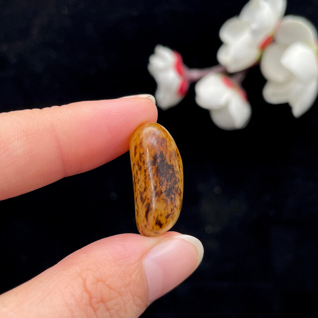 和田玉洒金皮籽料（7.5g）