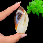 和田玉黑红皮籽料（68.8g）