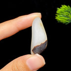 和田玉黑皮籽料（7.4g）